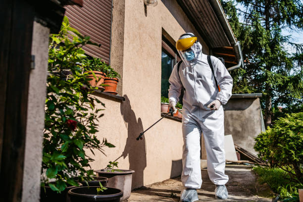 Best Pest Inspection Near Me  in Georgetown, DE