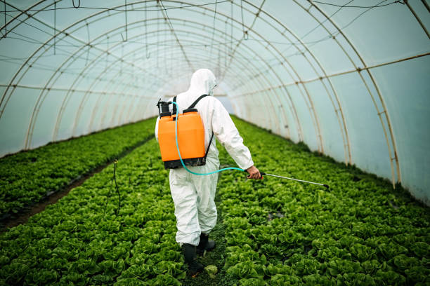 Best Pest Control for Businesses  in Georgetown, DE
