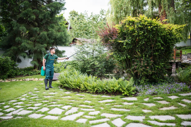 Best Affordable Pest Control Services  in Georgetown, DE