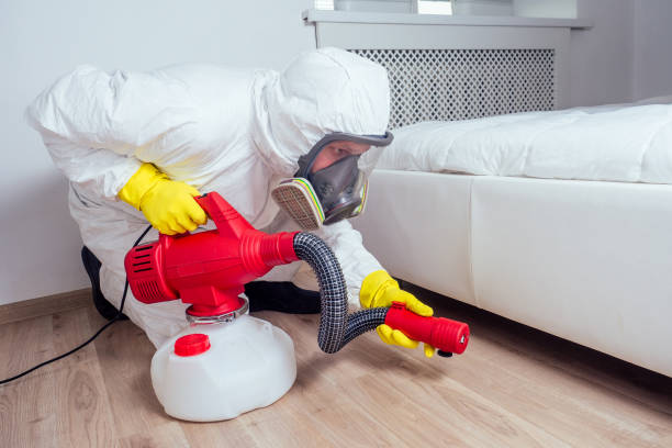 Best Affordable Exterminators  in Georgetown, DE