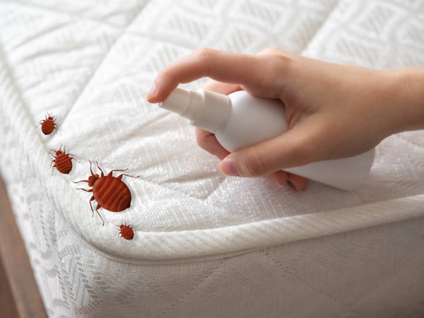 Trusted Georgetown, DE Pest Control Experts